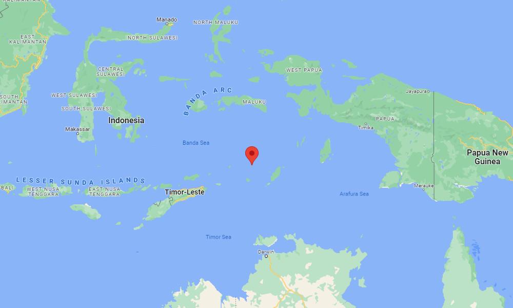 4425333540781441 image