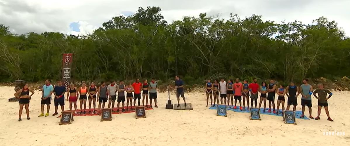 4425691072266504 image