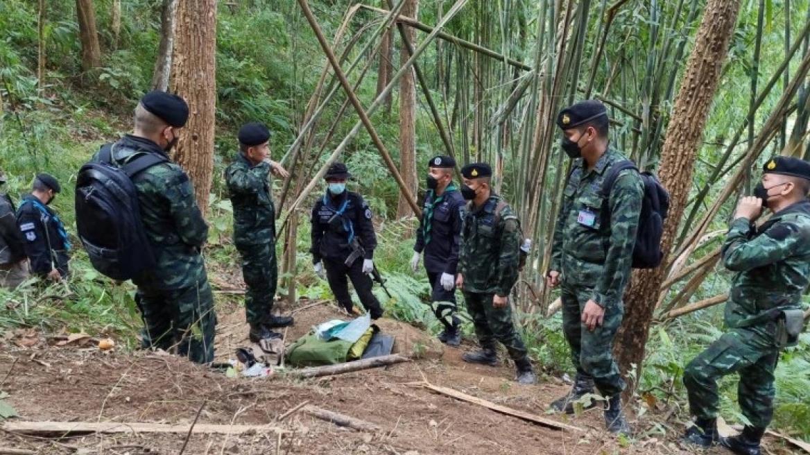 4425816205955969 image