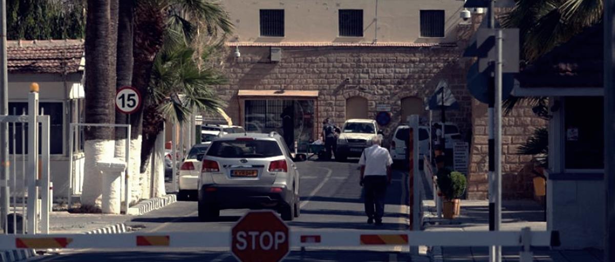 4426865566180596 cats