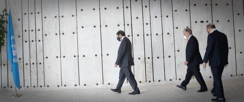 4427076521691810 image