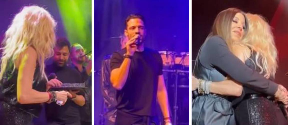 4427580356396451 image