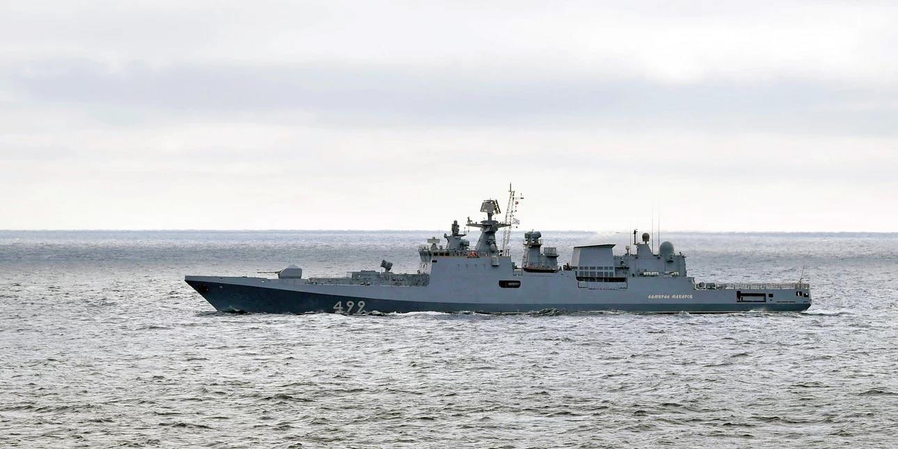 4427658603791808 image