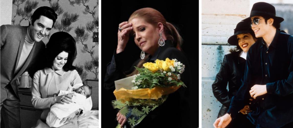 4428298732897447 image