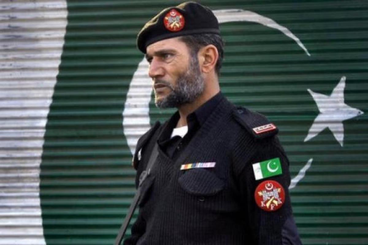 4428612705280519 image