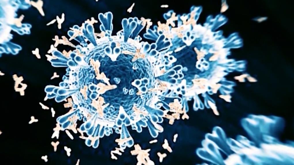 4428624309833395 image