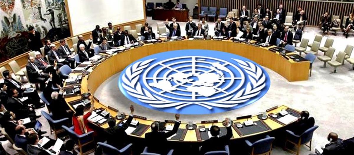 4430269337235957 cache 1500x3000 Analog medium 648271 1555808 2912019