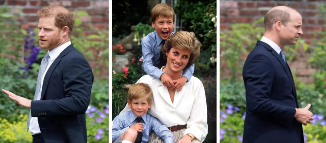 4431843621803515 image