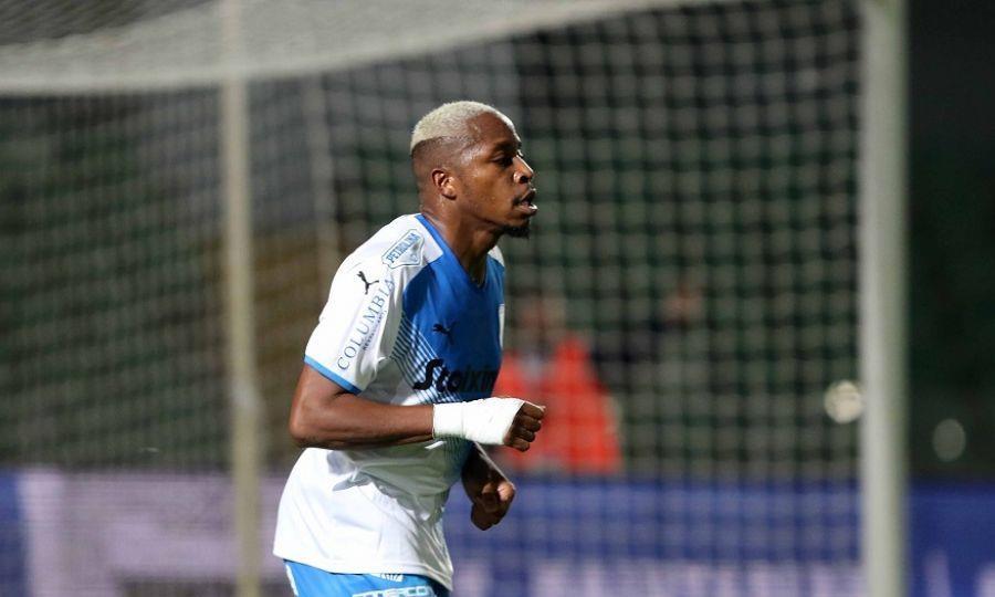 4432749140084962 image