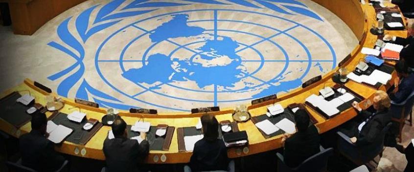 4433455476538704 cache 846x3000 Analog medium 987579 174684 482022