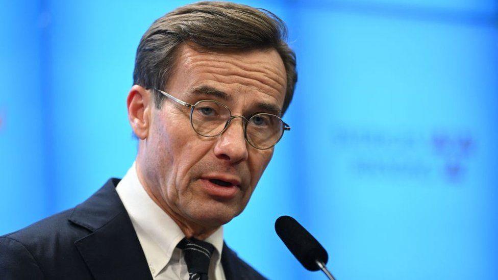 4436368970381476 image