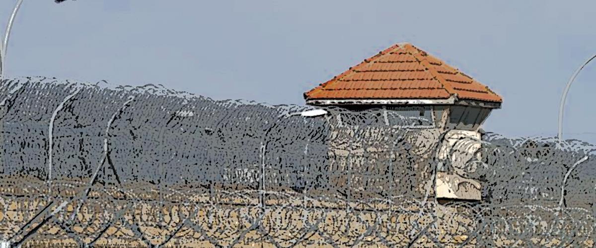 4436299237177826 image