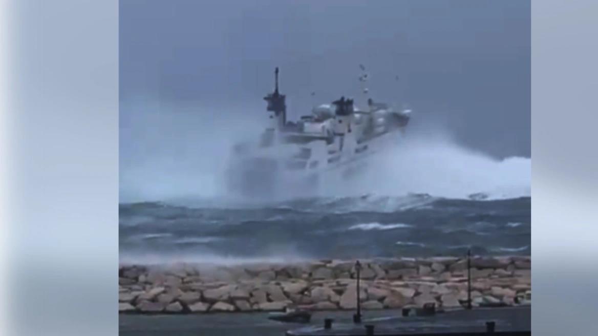 4436523173604898 image