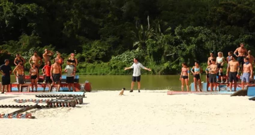 4438687498221151 image