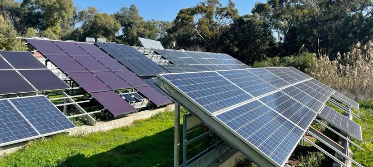 4440619008486200 whatsapp image 2022-11-09 at 18.32.13 0