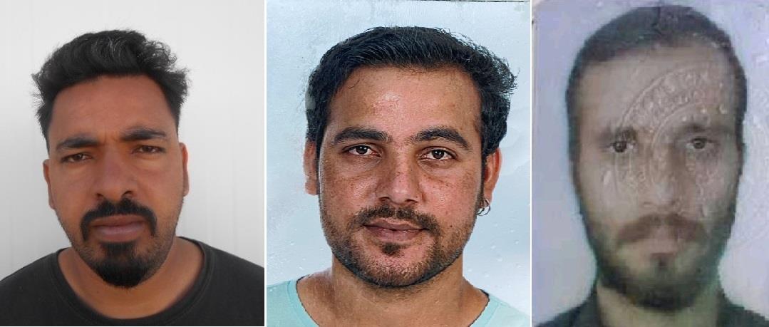 4441712410366799 image