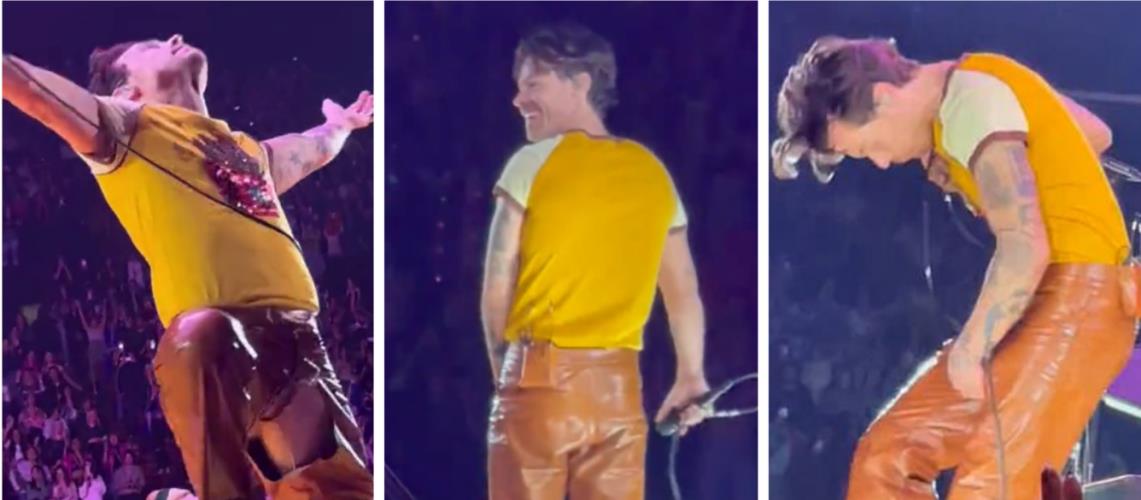 4442989212161328 image