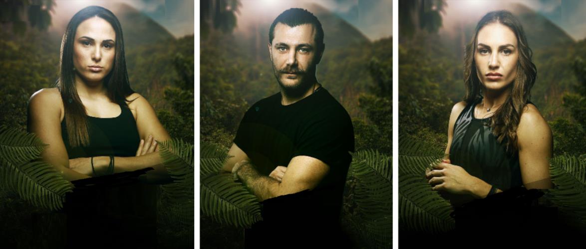 4444793181943933 image