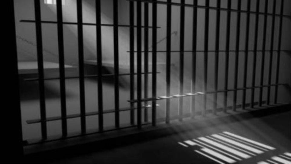 4444970451870555 image