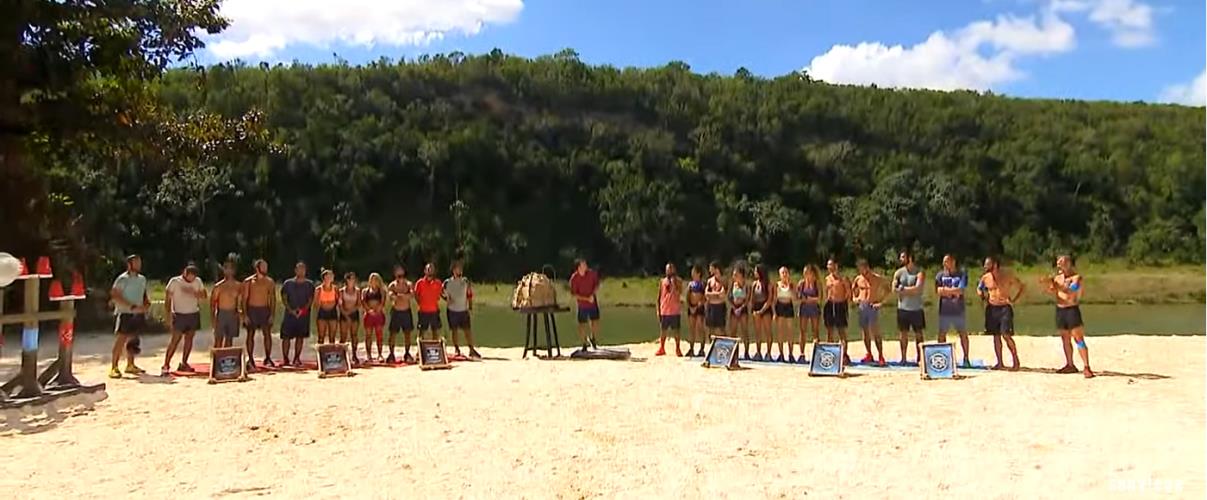 4445581386465209 image