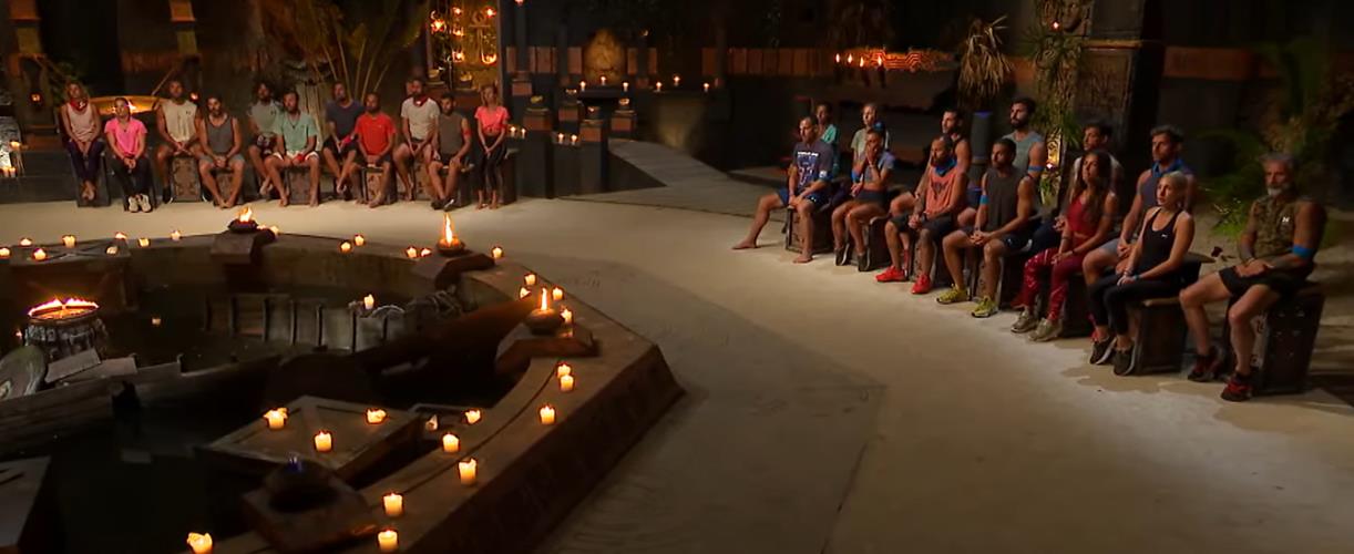 4446431336910428 image