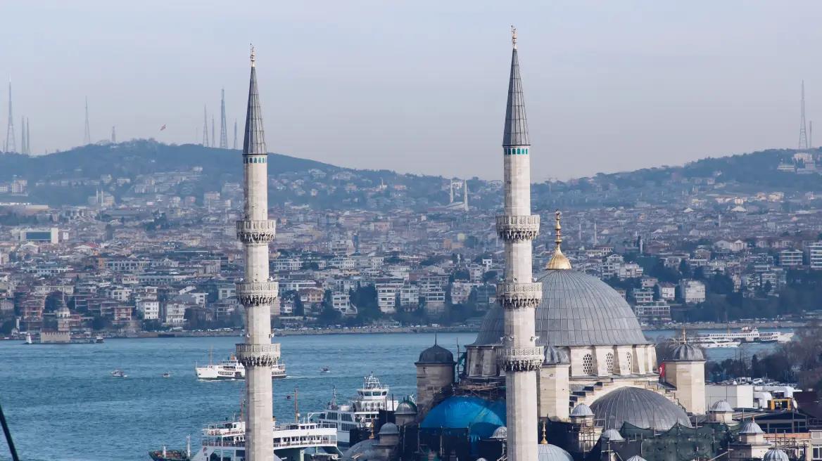 4448468179503060 image