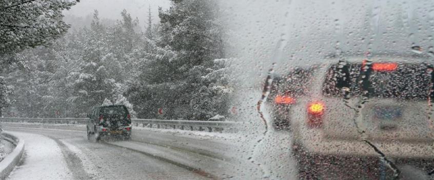 4449861059597953 cache 846x3000 Analog medium 779396 500288 1822021