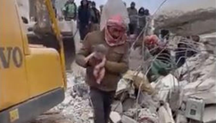 4449949201897058 cats