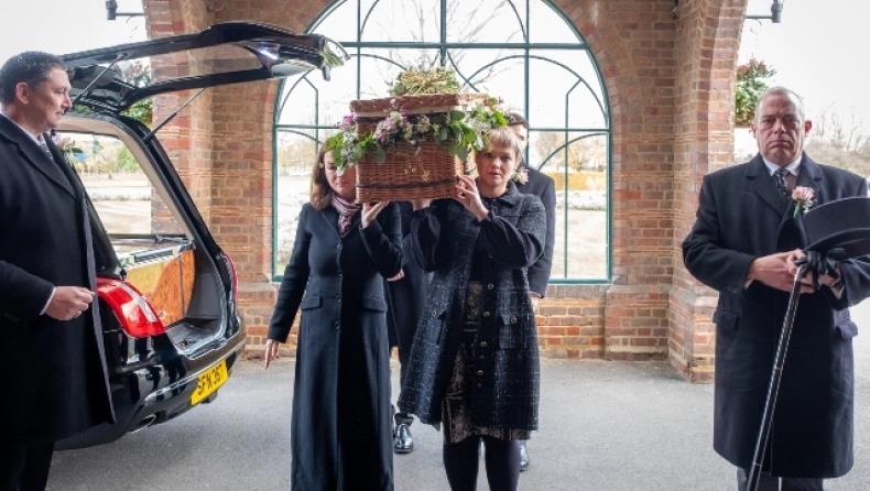 4451206969028532 image