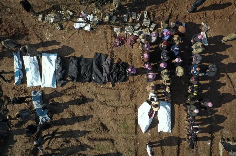 4452091680866551 image