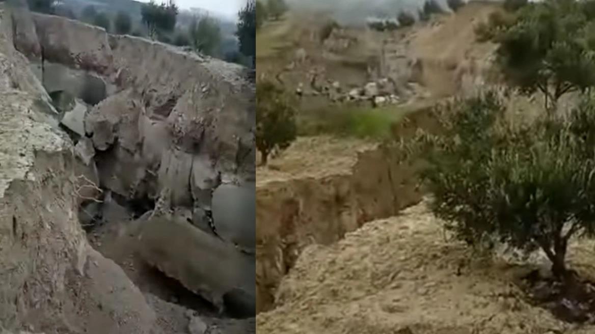 4452736735683184 image