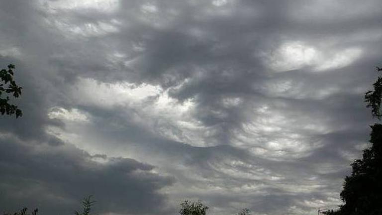 4452753188429717 image