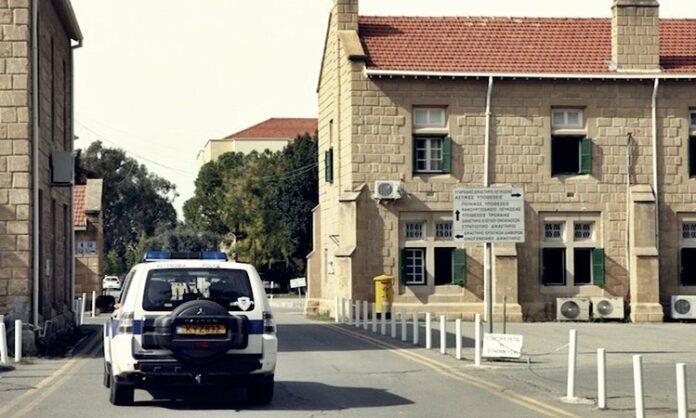 4452929193380146 image