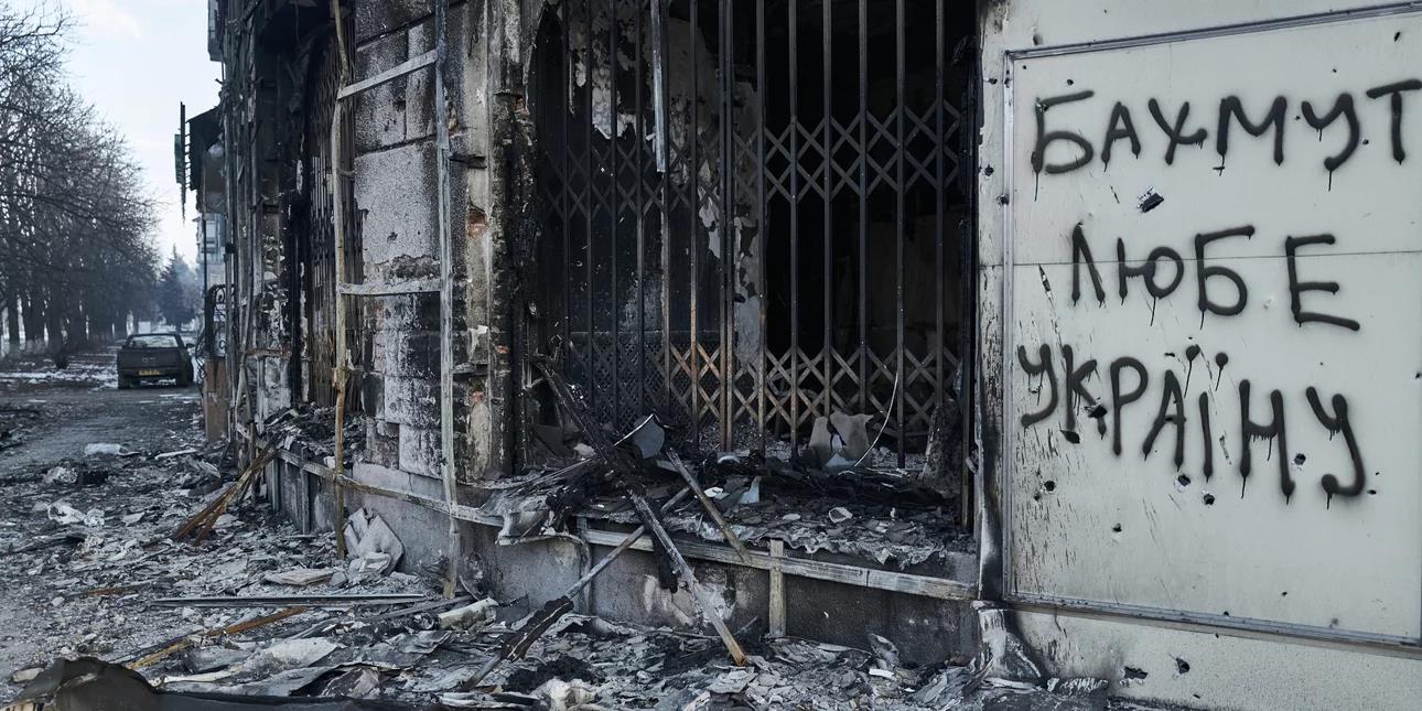 4454414332368135 image