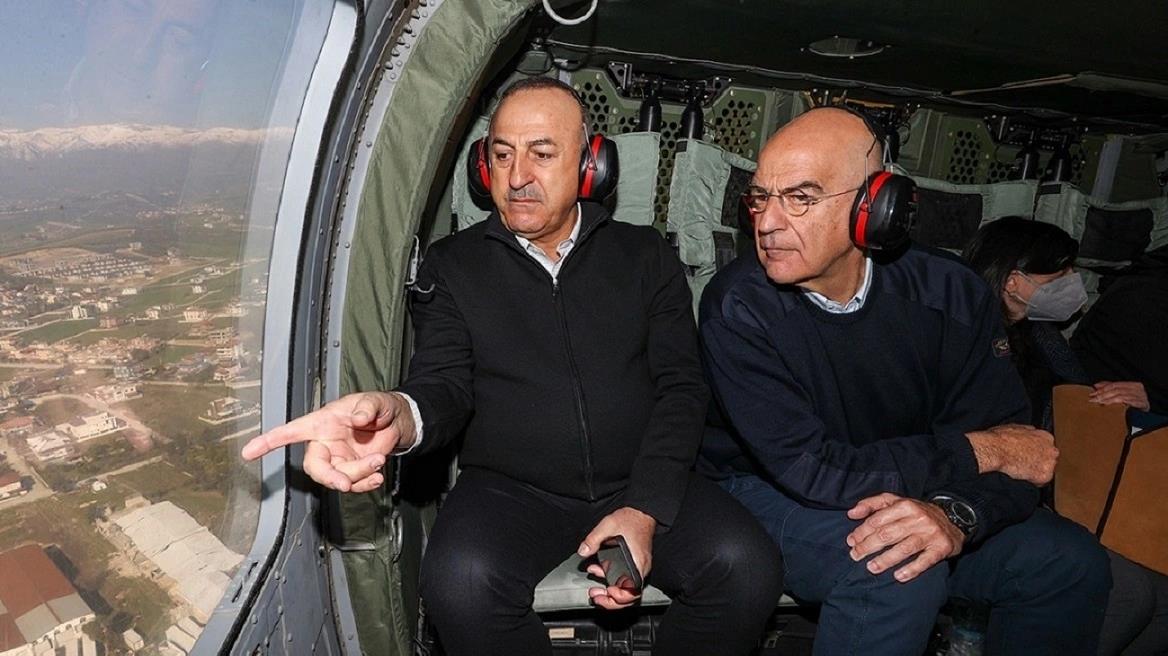 4454417568099393 image