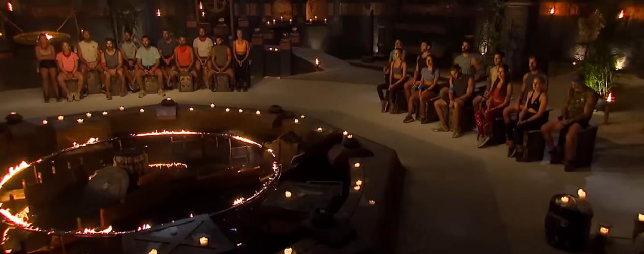 4455062836533526 image