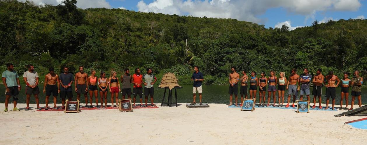 4455119701093026 image