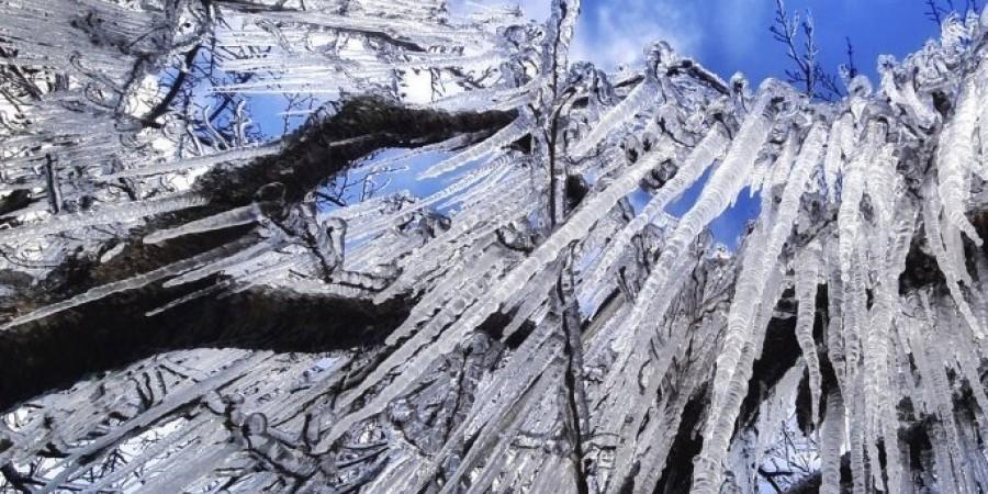 4455895514149409 7d62fa483eb13e0e6417db59b1422a2a