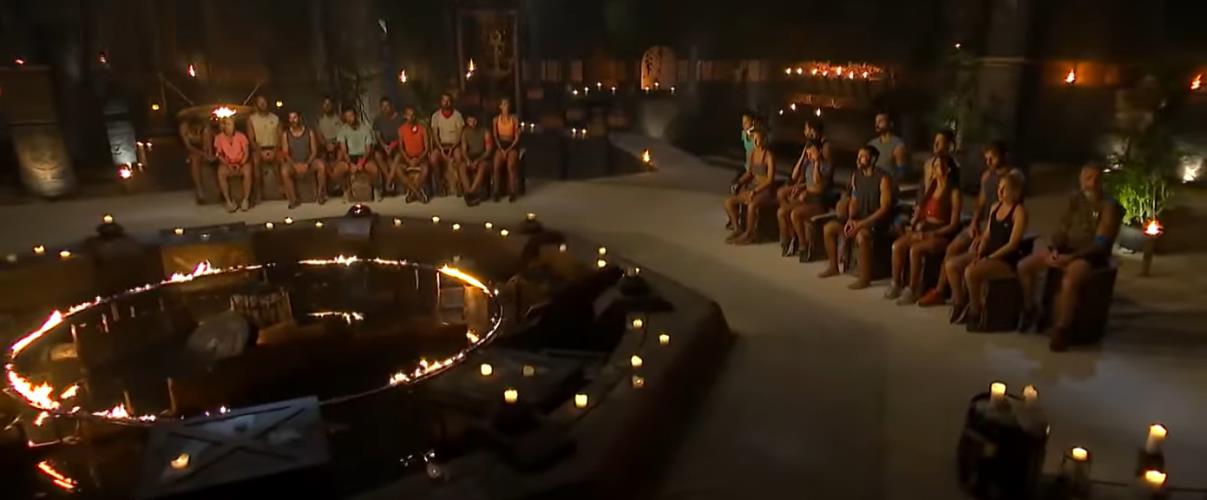 4455932424613278 image