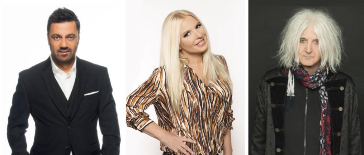 4456010510222447 image