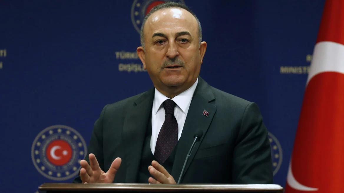 4456075150414574 image