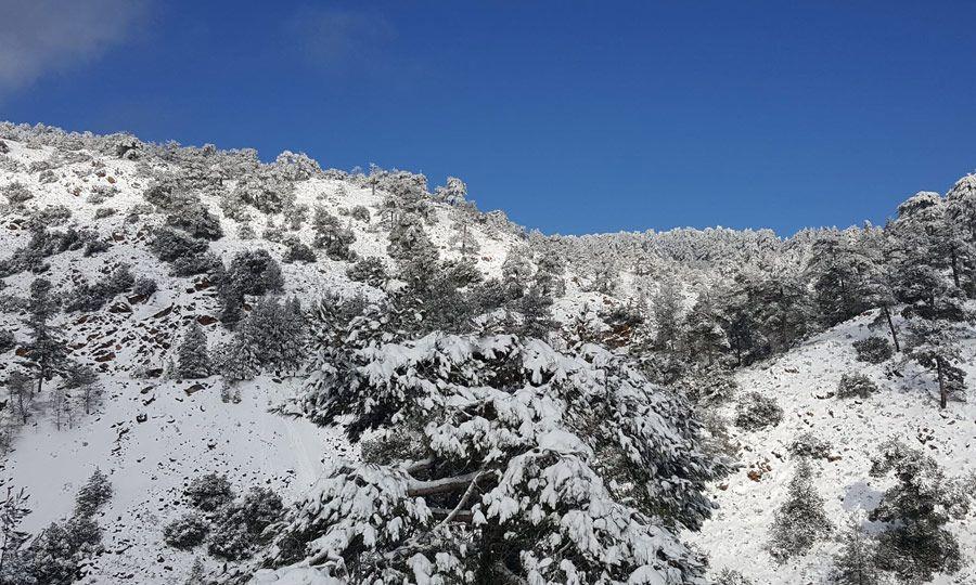 4456799583787293 image