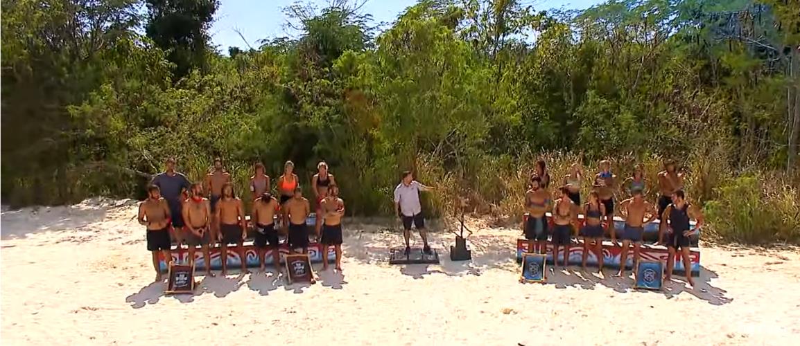 4456794373933079 image