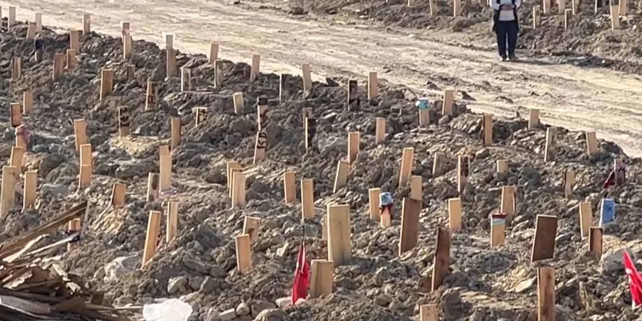 4456992813112915 image