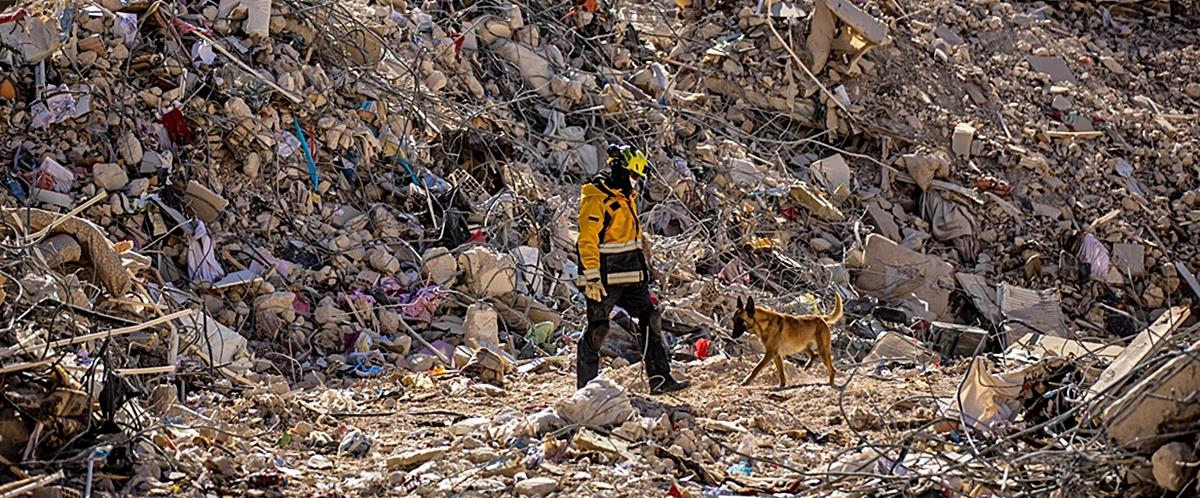 4459734030900971 200