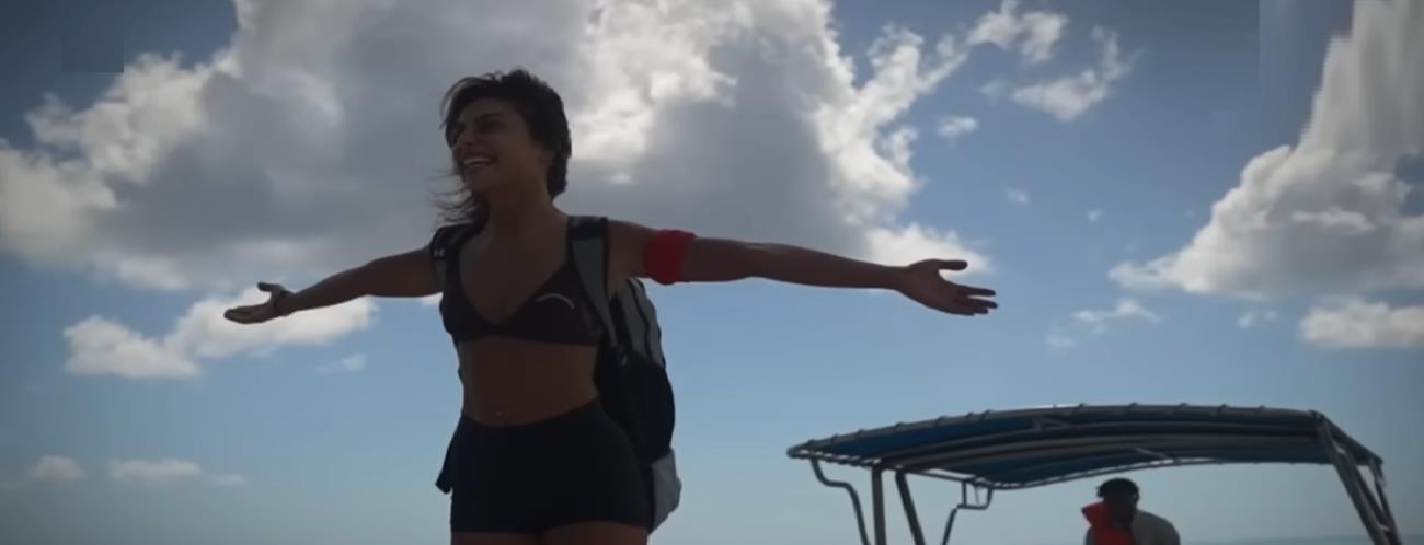 4460309767162030 image