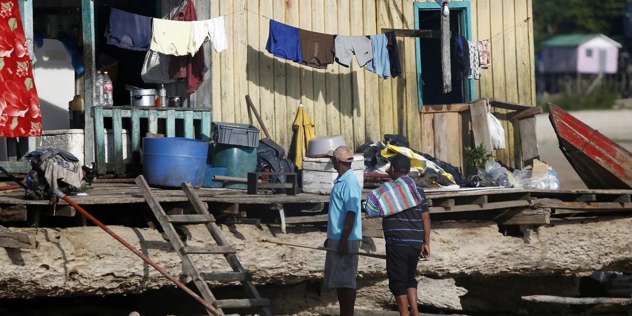 4461099402093770 image