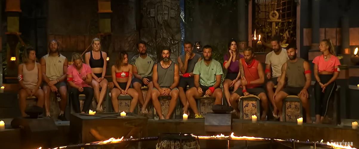 4461110678949482 image