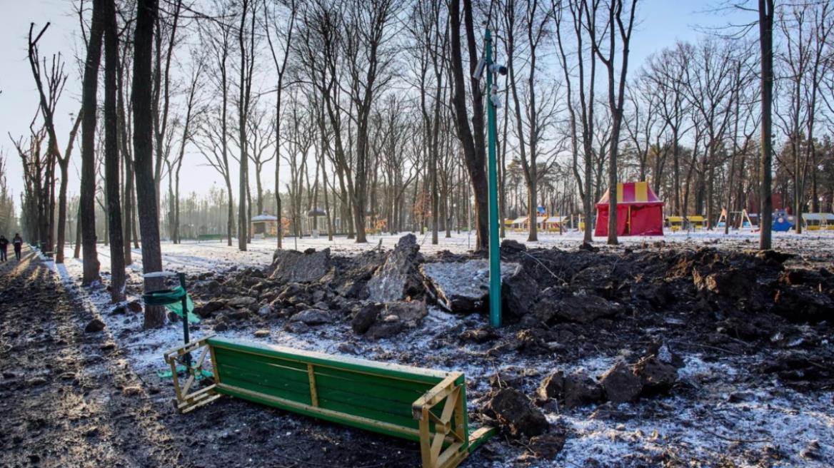 4461150553082353 image