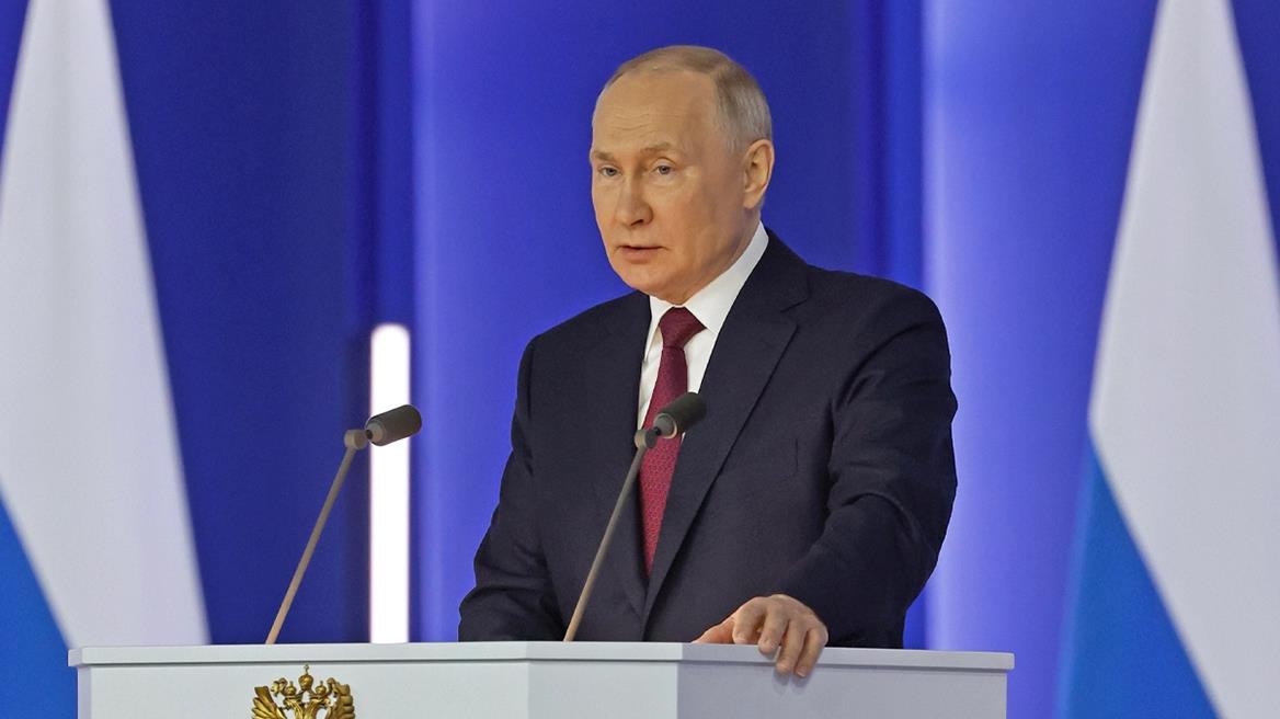 4462213278588861 image